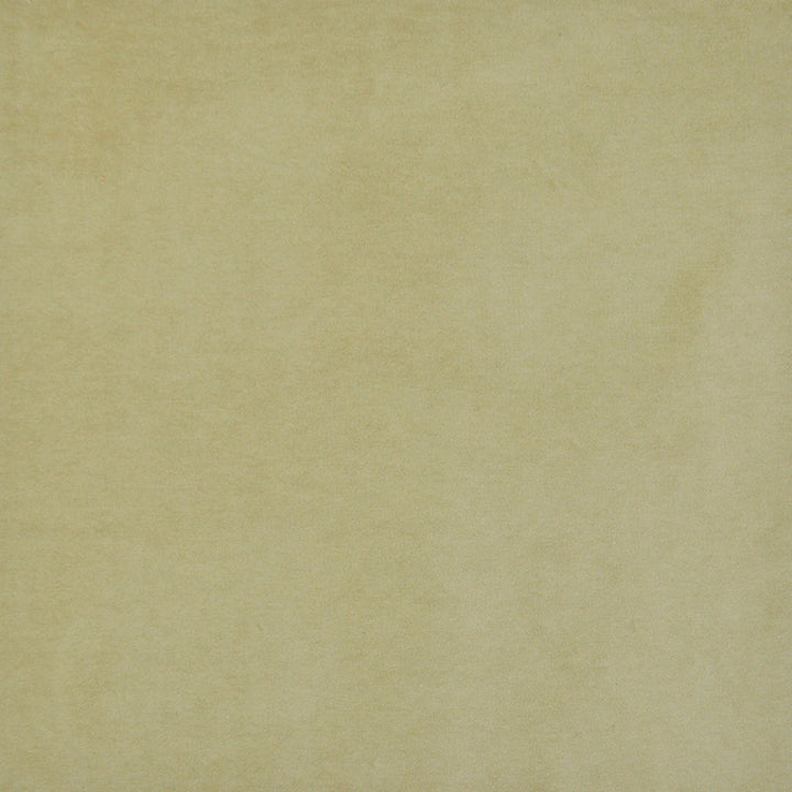 Snug # 420 Moss by Maxwell Designer Fabric Performance Velvets-Vol.I 67.2% POLYESTER 32.8% COTTON TURKEY 55" - Swanky Fabrics -