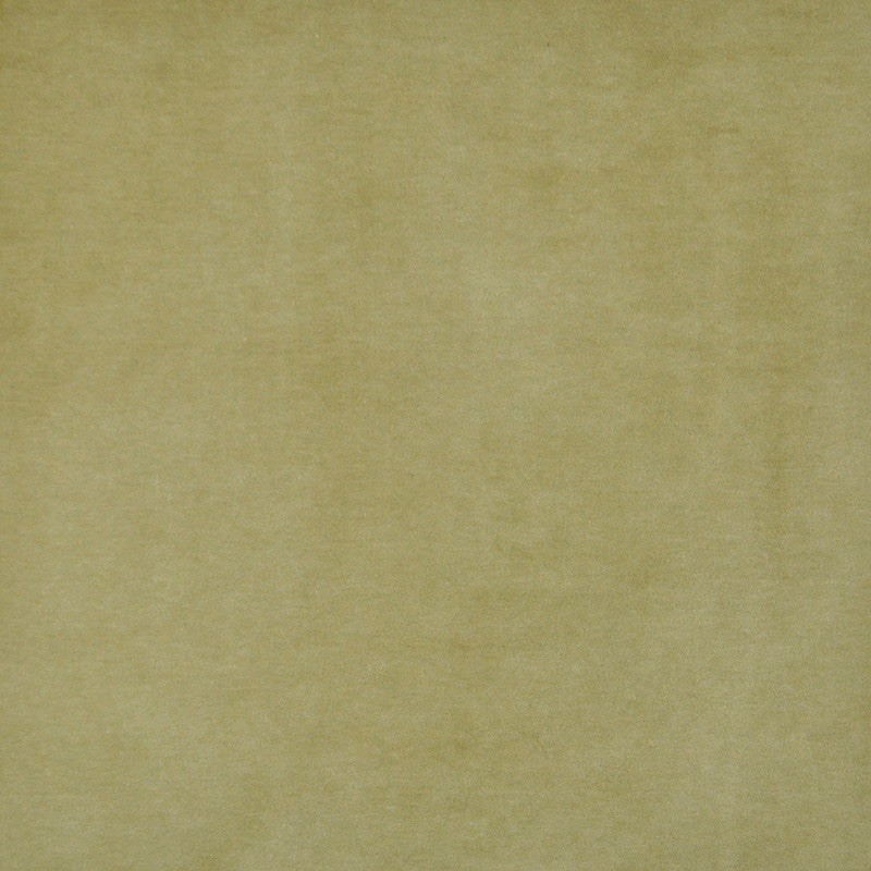 Snug # 421 Olive by Maxwell Designer Fabric Performance Velvets-Vol.I 67.2% POLYESTER 32.8% COTTON TURKEY 55" - Swanky Fabrics -