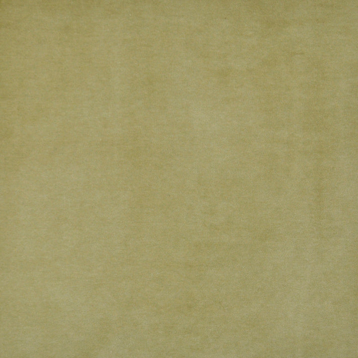 Snug # 421 Olive by Maxwell Designer Fabric Performance Velvets-Vol.I 67.2% POLYESTER 32.8% COTTON TURKEY 55" - Swanky Fabrics -