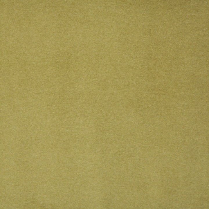 Snug # 422 Pistachio by Maxwell Designer Fabric Performance Velvets-Vol.I 67.2% POLYESTER 32.8% COTTON TURKEY 55" - Swanky Fabrics -