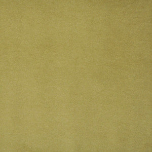 Snug # 422 Pistachio by Maxwell Designer Fabric