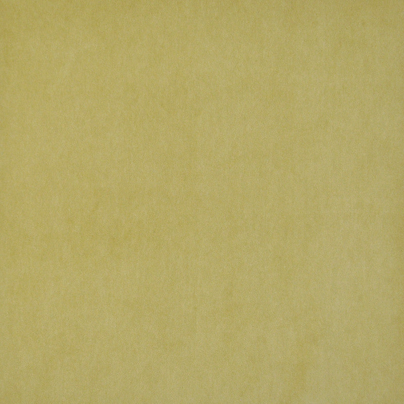 Snug # 424 Citron by Maxwell Designer Fabric Performance Velvets-Vol.I 67.2% POLYESTER 32.8% COTTON TURKEY 55" - Swanky Fabrics -