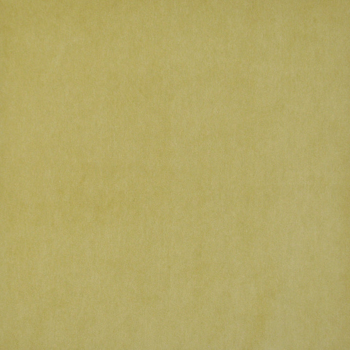 Snug # 424 Citron by Maxwell Designer Fabric Performance Velvets-Vol.I 67.2% POLYESTER 32.8% COTTON TURKEY 55" - Swanky Fabrics -