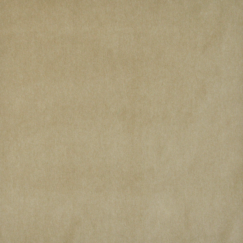 Snug # 428 Fawn by Maxwell Designer Fabric Performance Velvets-Vol.I 67.2% POLYESTER 32.8% COTTON TURKEY 55" - Swanky Fabrics -