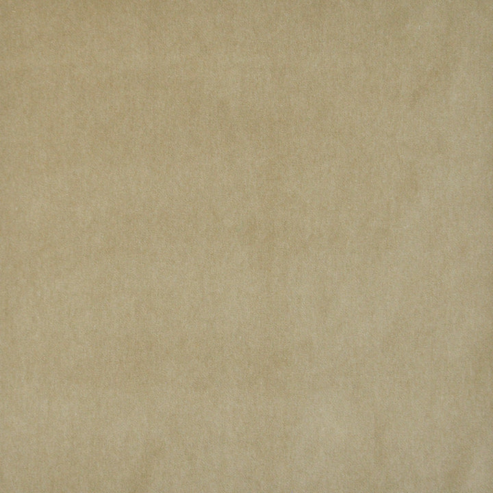 Snug # 428 Fawn by Maxwell Designer Fabric Performance Velvets-Vol.I 67.2% POLYESTER 32.8% COTTON TURKEY 55" - Swanky Fabrics -