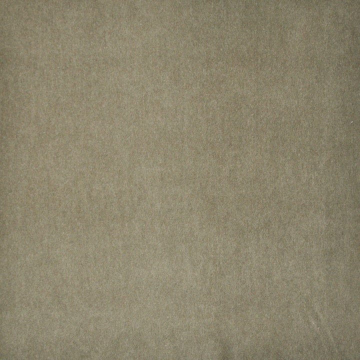 Snug # 429 Bark by Maxwell Designer Fabric Performance Velvets-Vol.I 67.2% POLYESTER 32.8% COTTON TURKEY 55" - Swanky Fabrics -