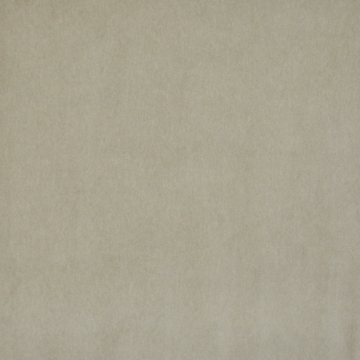 Snug # 430 Chamois by Maxwell Designer Fabric Performance Velvets-Vol.I 67.2% POLYESTER 32.8% COTTON TURKEY 55" - Swanky Fabrics -