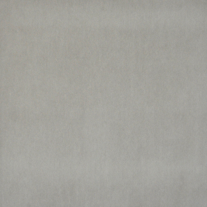 Snug # 431 Dove by Maxwell Designer Fabric Performance Velvets-Vol.I 67.2% POLYESTER 32.8% COTTON TURKEY 55" - Swanky Fabrics -