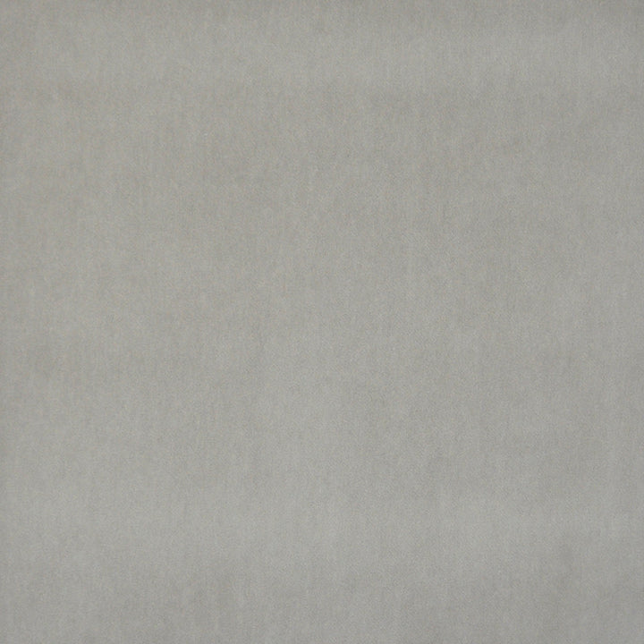 Snug # 431 Dove by Maxwell Designer Fabric Performance Velvets-Vol.I 67.2% POLYESTER 32.8% COTTON TURKEY 55" - Swanky Fabrics -