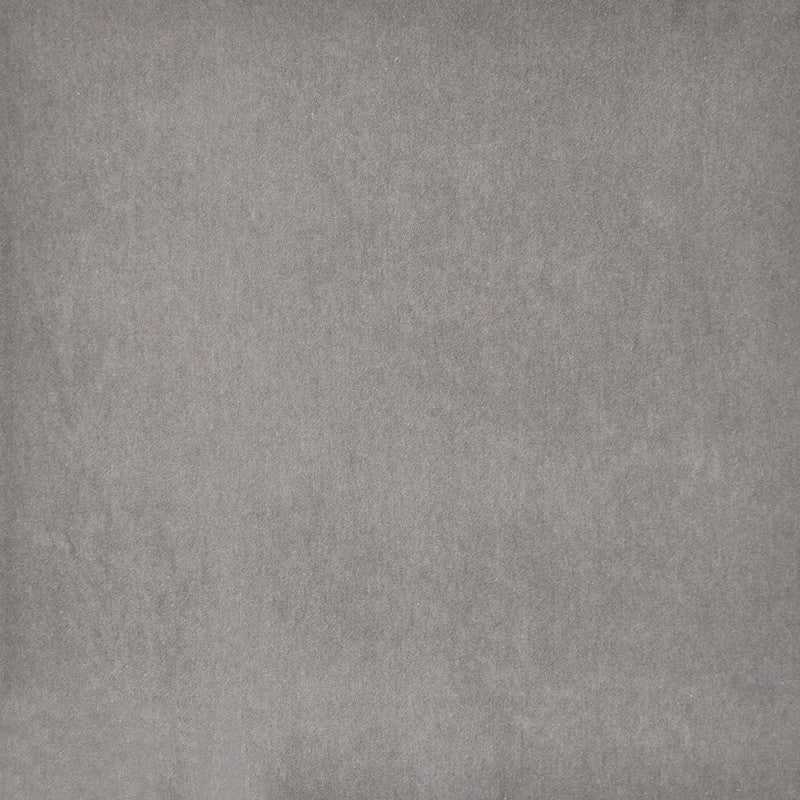 Snug # 434 African Grey by Maxwell Designer Fabric Performance Velvets-Vol.I 67.2% POLYESTER 32.8% COTTON TURKEY 55" - Swanky Fabrics -