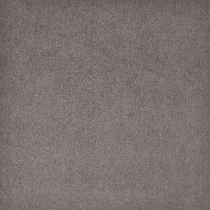 Snug # 437 Smoke by Maxwell Designer Fabric Performance Velvets-Vol.I 67.2% POLYESTER 32.8% COTTON TURKEY 55" - Swanky Fabrics -