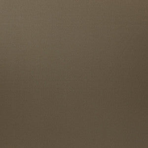 Silky Smooth # 43 Squirrel by Maxwell Designer Fabric