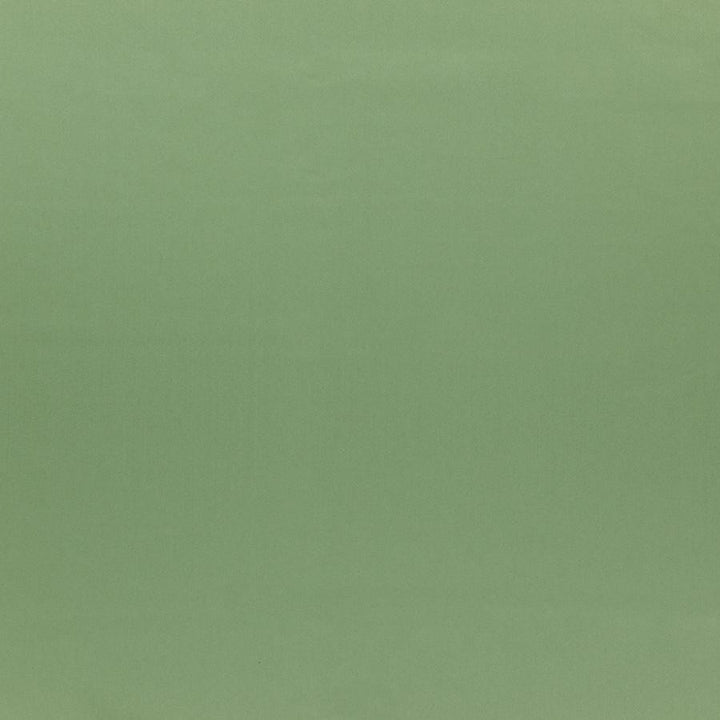 Silky Smooth # 64 Sage by Maxwell Designer Fabric Pure & Simple Vi 100% POLYESTER TURKEY 57.5" - Swanky Fabrics -