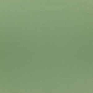 Silky Smooth # 64 Sage by Maxwell Designer Fabric