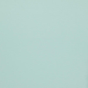 Silky Smooth # 68 Foam by Maxwell Designer Fabric