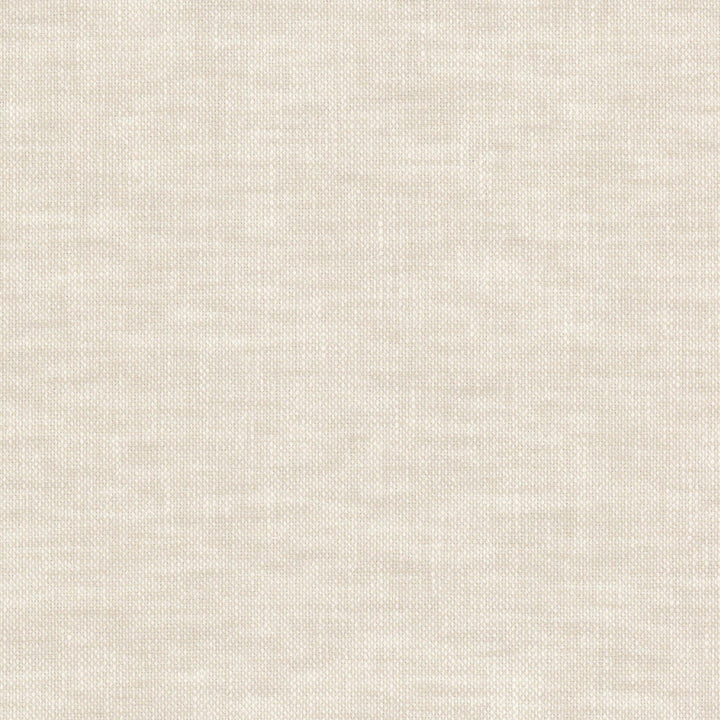 Sizzle 1 Bone by Stout Fabric Stout Fabric Sizzle 1 BoneFabric THE NATURALS III 47%POL 53%COT INDIA </p><p>Repeat: H: 0.000, V: 0.000 54 in - Fabric Carolina -