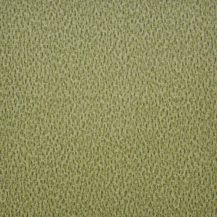 Spotlight # 212 Grasslands by Maxwell Designer Fabric Easy Rider V 100% PVC TAIWAN 54" - Swanky Fabrics -