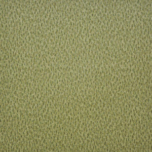 Spotlight # 212 Grasslands by Maxwell Designer Fabric