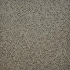 Spotlight # 257 Bark by Maxwell Designer Fabric