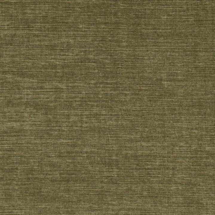 Shavasana # 23 Cactus by Maxwell Designer Fabric Curled Up V 100% POLYESTER INDIA 54.3" - Swanky Fabrics -