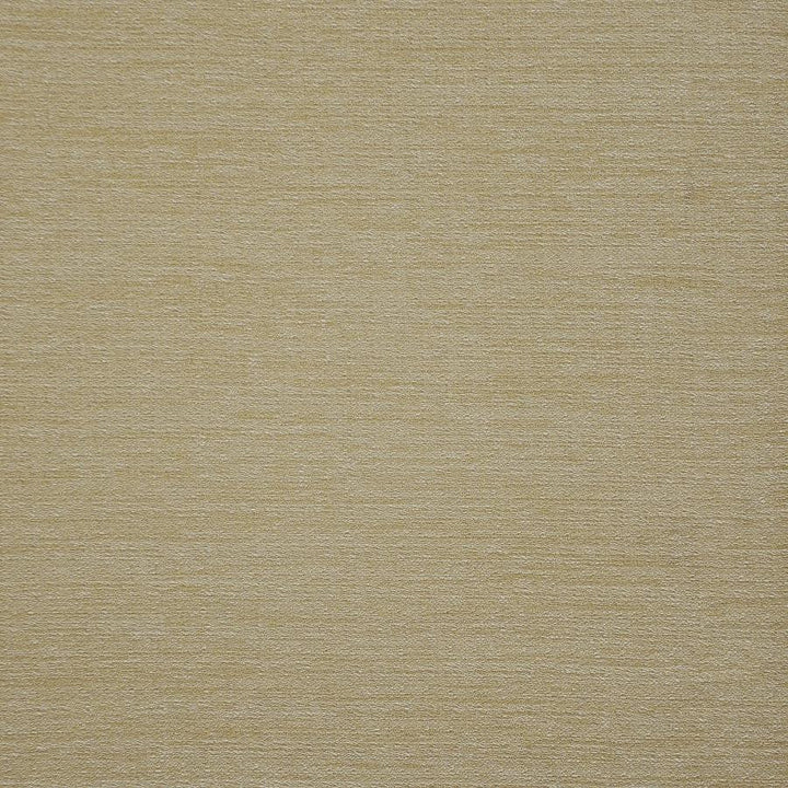Stefano # 125 Sand by Maxwell Designer Fabric Pure & Simple Ix 100% POLYESTER TURKEY 60" - Swanky Fabrics -