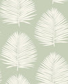 Island Palm Celadon SL80704 by Seabrook Designs Designer Wallpaper
