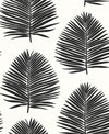 Island Palm Day And Night SL80720 by Seabrook Designs Designer Wallpaper