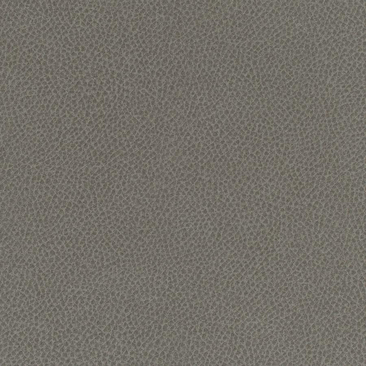 Scene # 702 Stingray by Maxwell Designer Fabric Easy Rider Vii FACE: 95% POLYURETHANE/ 5% SILICONE
BACKING:100% POLYESTER TAIWAN 54" - Swanky Fabrics -