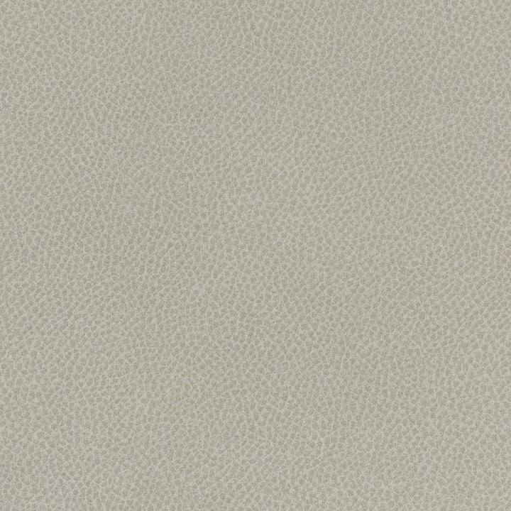 Scene # 705 Sediment by Maxwell Designer Fabric Easy Rider Vii FACE: 95% POLYURETHANE/ 5% SILICONE
BACKING:100% POLYESTER TAIWAN 54" - Swanky Fabrics -