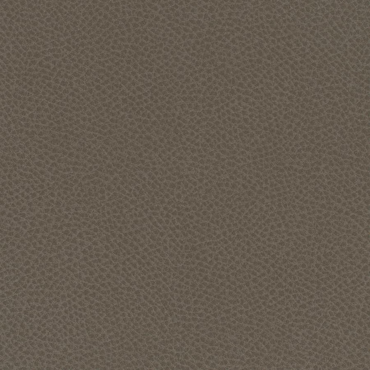 Scene # 711 Barley by Maxwell Designer Fabric Easy Rider Vii FACE: 95% POLYURETHANE/ 5% SILICONE
BACKING:100% POLYESTER TAIWAN 54" - Swanky Fabrics -