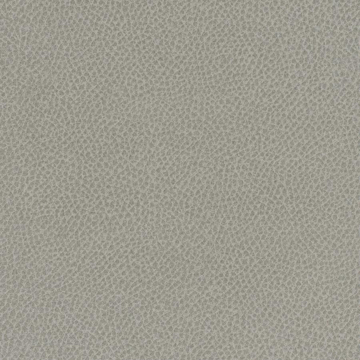 Scene # 713 Mist by Maxwell Designer Fabric Easy Rider Vii FACE: 95% POLYURETHANE/ 5% SILICONE
BACKING:100% POLYESTER TAIWAN 54" - Swanky Fabrics -