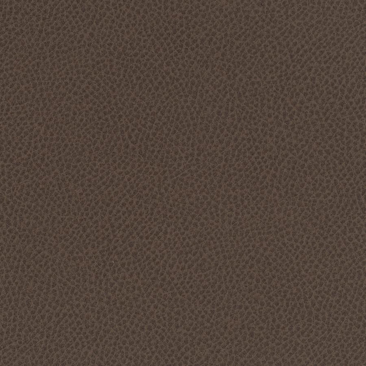 Scene # 720 Tea by Maxwell Designer Fabric Easy Rider Vii FACE: 95% POLYURETHANE/ 5% SILICONE
BACKING:100% POLYESTER TAIWAN 54" - Swanky Fabrics -