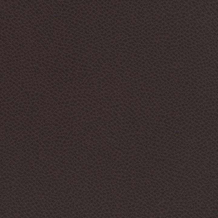 Scene # 723 Cocoa by Maxwell Designer Fabric Easy Rider Vii FACE: 95% POLYURETHANE/ 5% SILICONE
BACKING:100% POLYESTER TAIWAN 54" - Swanky Fabrics -