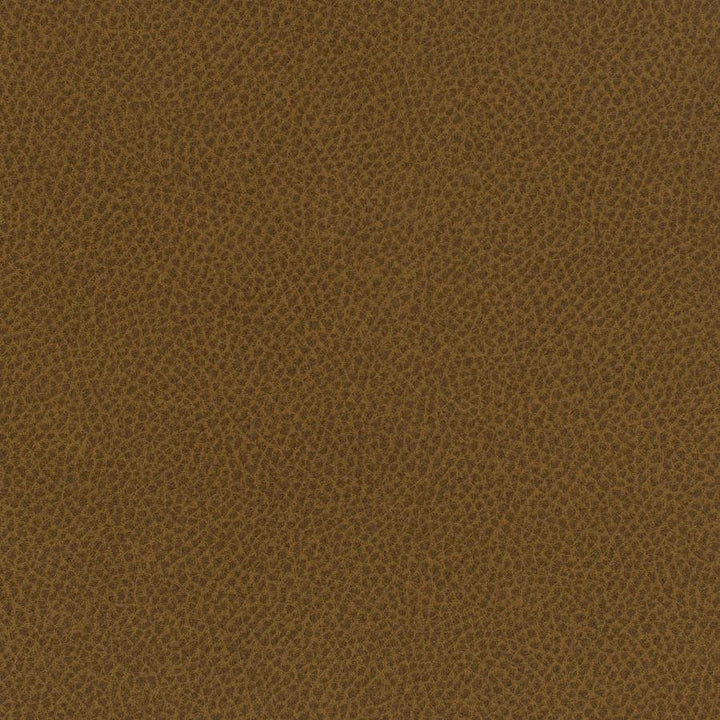 Scene # 730 Cumin by Maxwell Designer Fabric Easy Rider Vii FACE: 95% POLYURETHANE/ 5% SILICONE
BACKING:100% POLYESTER TAIWAN 54" - Swanky Fabrics -