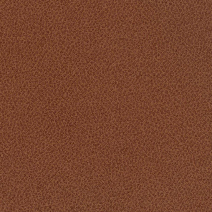 Scene # 733 Curry by Maxwell Designer Fabric Easy Rider Vii FACE: 95% POLYURETHANE/ 5% SILICONE
BACKING:100% POLYESTER TAIWAN 54" - Swanky Fabrics -