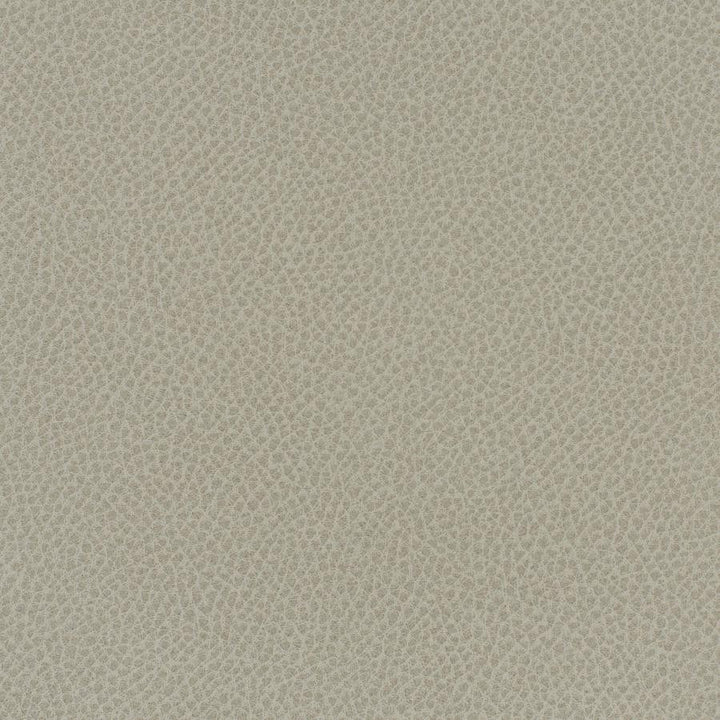 Scene # 737 Crater by Maxwell Designer Fabric Easy Rider Vii FACE: 95% POLYURETHANE/ 5% SILICONE
BACKING:100% POLYESTER TAIWAN 54" - Swanky Fabrics -