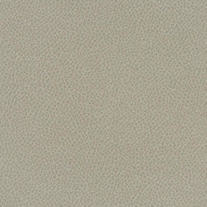 Scene # 737 Crater by Maxwell Designer Fabric