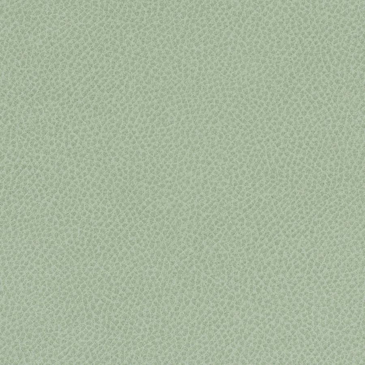Scene # 747 Aloe by Maxwell Designer Fabric Easy Rider Vii FACE: 95% POLYURETHANE/ 5% SILICONE
BACKING:100% POLYESTER TAIWAN 54" - Swanky Fabrics -