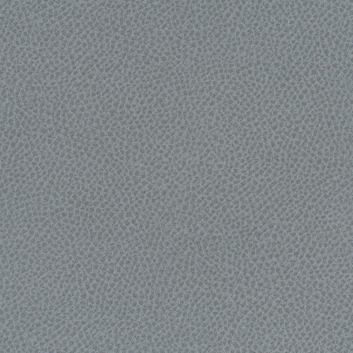 Scene # 749 Blue Slate by Maxwell Designer Fabric Easy Rider Vii FACE: 95% POLYURETHANE/ 5% SILICONE
BACKING:100% POLYESTER TAIWAN 54" - Swanky Fabrics -