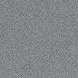Scene # 749 Blue Slate by Maxwell Designer Fabric