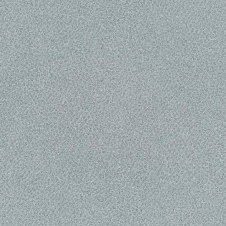 Scene # 751 Geyser by Maxwell Designer Fabric Easy Rider Vii FACE: 95% POLYURETHANE/ 5% SILICONE
BACKING:100% POLYESTER TAIWAN 54" - Swanky Fabrics -