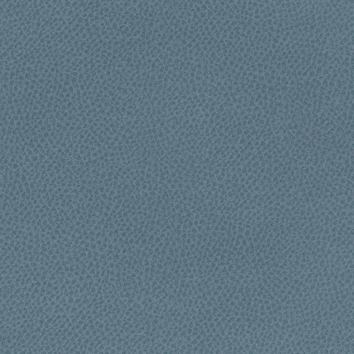Scene # 754 Ontario by Maxwell Designer Fabric Easy Rider Vii FACE: 95% POLYURETHANE/ 5% SILICONE
BACKING:100% POLYESTER TAIWAN 54" - Swanky Fabrics -