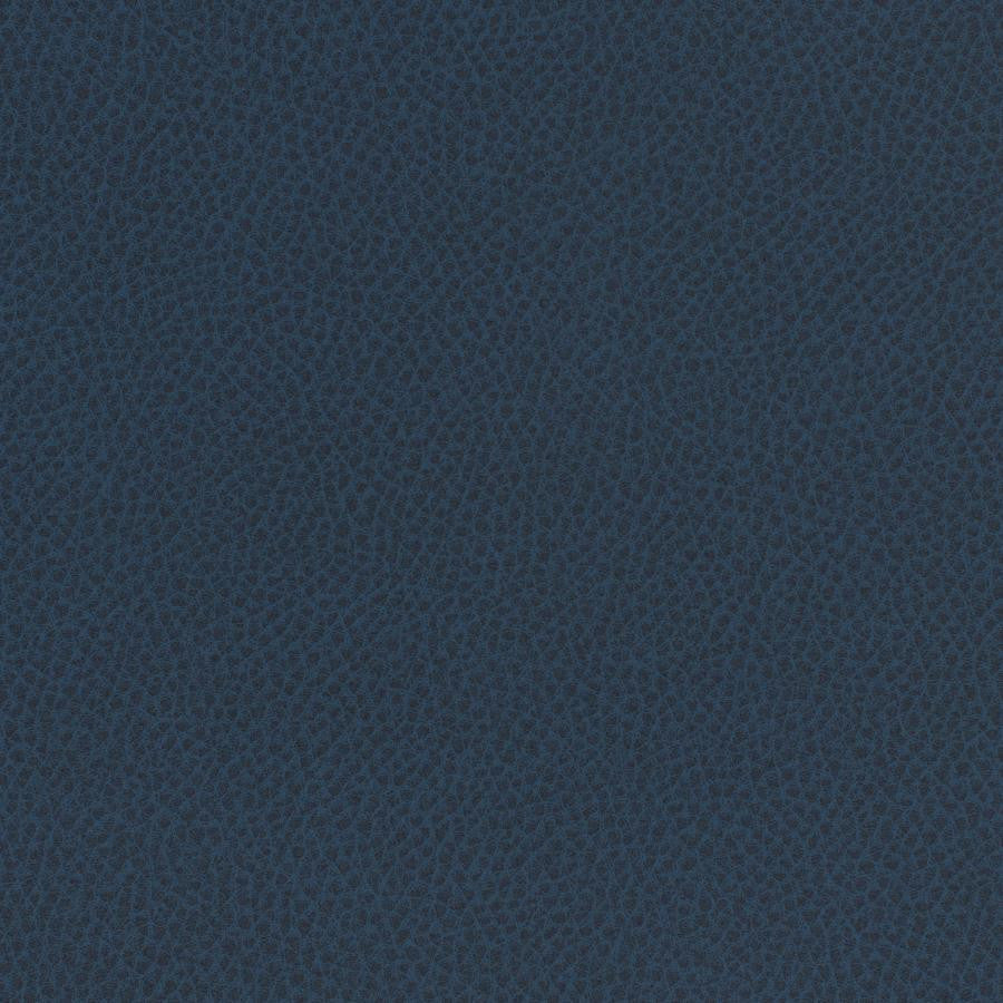 Scene # 761 Admiral by Maxwell Designer Fabric Easy Rider Vii FACE: 95% POLYURETHANE/ 5% SILICONE
BACKING:100% POLYESTER TAIWAN 54" - Swanky Fabrics -