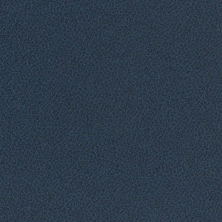 Scene # 761 Admiral by Maxwell Designer Fabric Easy Rider Vii FACE: 95% POLYURETHANE/ 5% SILICONE
BACKING:100% POLYESTER TAIWAN 54" - Swanky Fabrics -