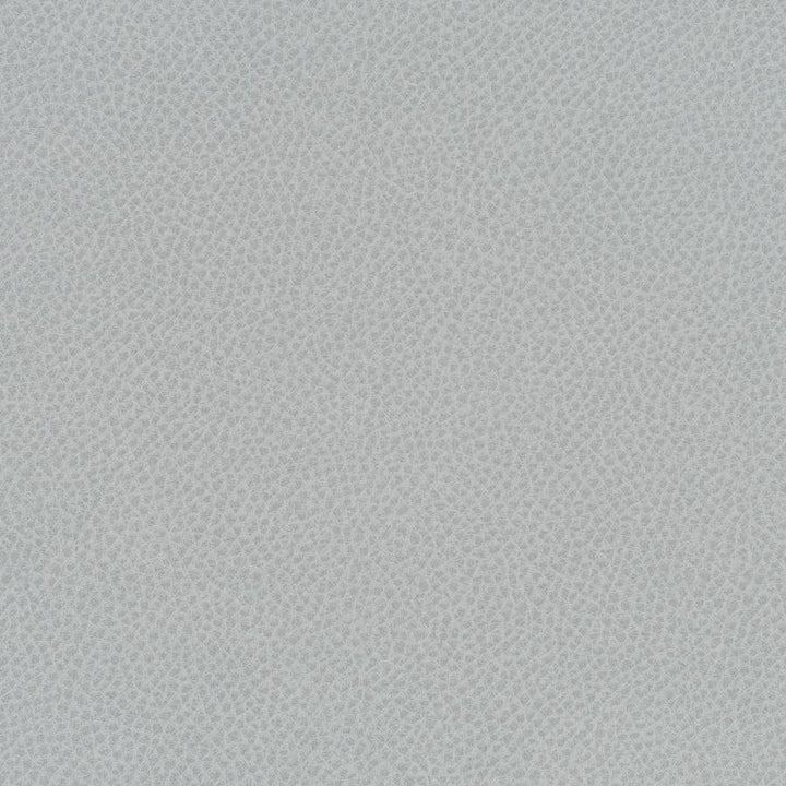 Scene # 785 Nebulous by Maxwell Designer Fabric Easy Rider Vii FACE: 95% POLYURETHANE/ 5% SILICONE
BACKING:100% POLYESTER TAIWAN 54" - Swanky Fabrics -