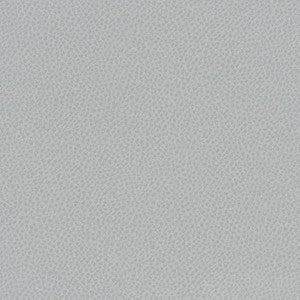 Scene # 785 Nebulous by Maxwell Designer Fabric