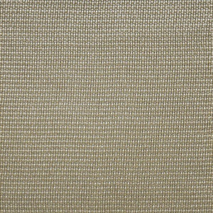 Sidecar # 410 Pyrite by Maxwell Designer Fabric