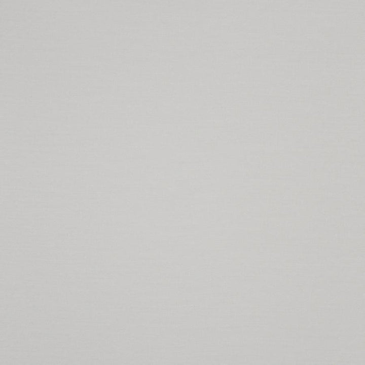 Spritz # 406 Tusk by Maxwell Designer Fabric Sheer Threads 100% POLYESTER TURKEY 130" - Swanky Fabrics -