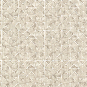 Smyrna 1 Beige by Stout Designer Fabric