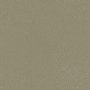 Shaw-Nj # 785 Metal by Maxwell Designer Fabric